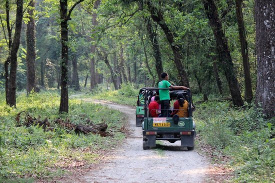 Dooars — West Bengal