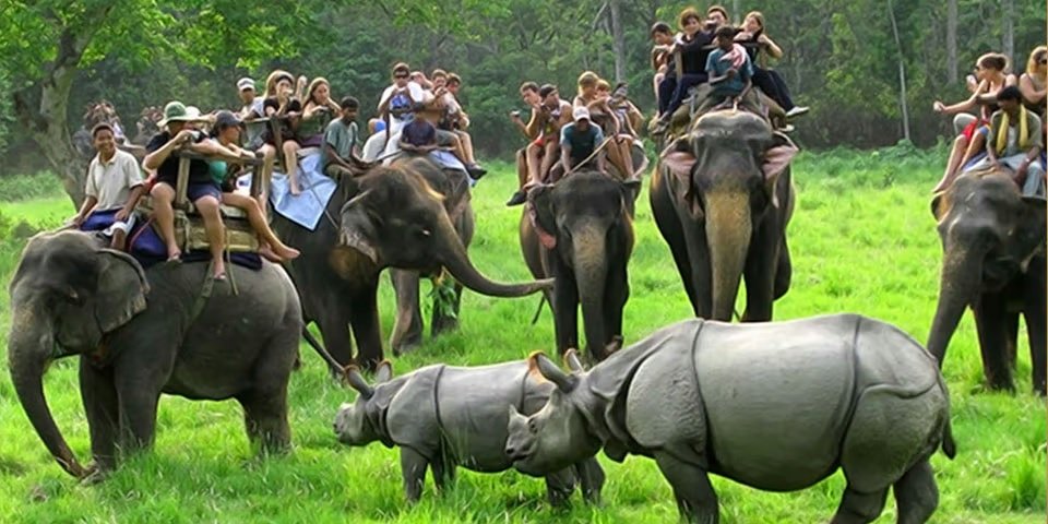 Assam — Northeast India