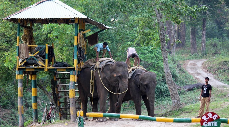 Gorumara National Park — Dooars